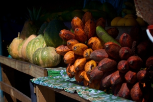 FAO with local authorities and partners tackling food safety across the Pacific